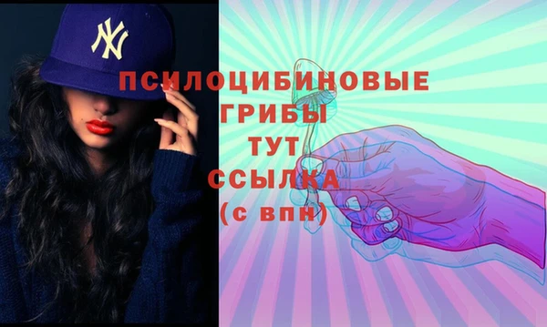 Альфа ПВП Балабаново