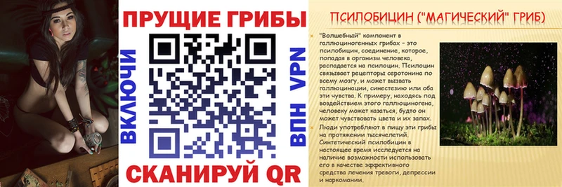 Псилоцибиновые грибы мицелий  где найти   гидра tor  Городище 